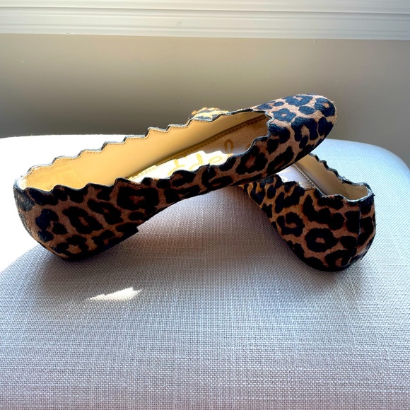 Sam Edelman Alaine calf hair leopard flats. Gently worn. - Picture 1 of 4